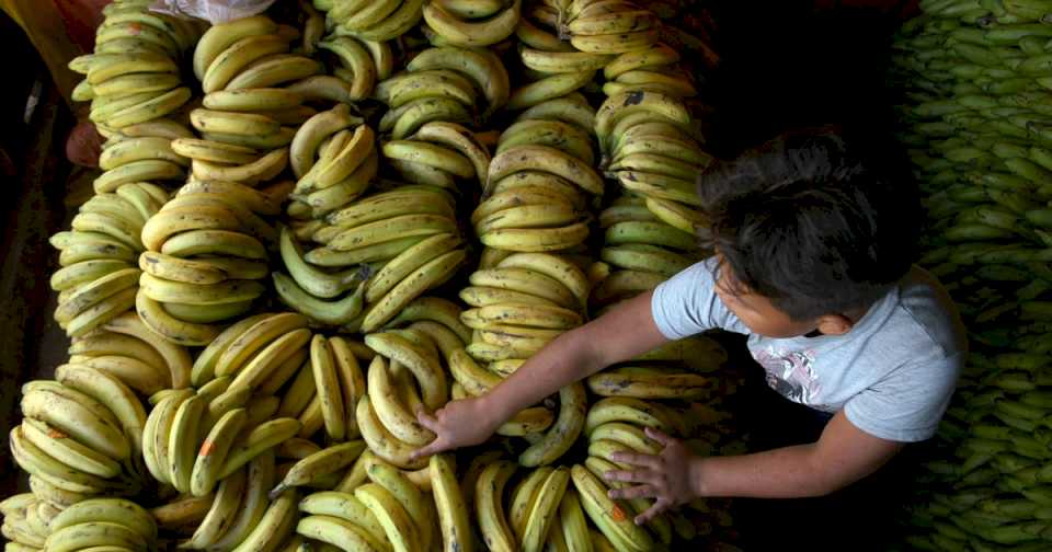productores-de-banana-paraguayos-reclaman-la-intervencion-de-su-gobierno-por-pagos-atrasados-de-argentina