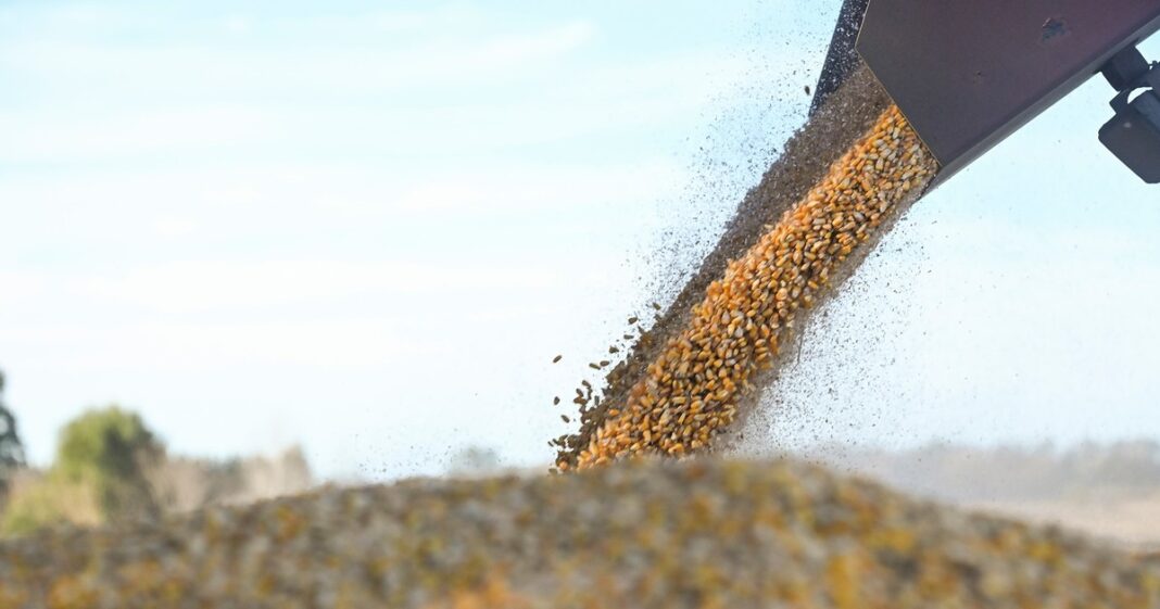 2109453-retenciones-0-la-medida-del-gobierno-es-para-todos-los-granos-y-rige-hasta-el-31-de-octubre