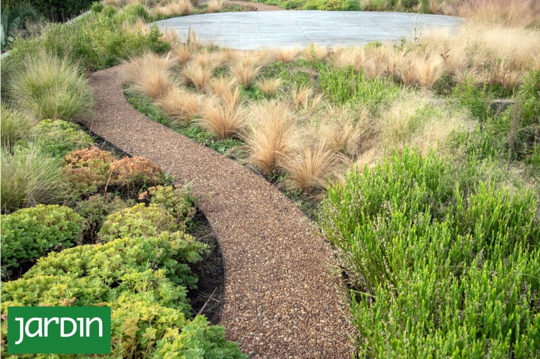 Detalle de un jardín con diferentes texturas de follaje y gramíneas moviéndose con el viento.