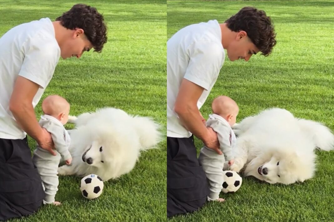 Julián Álvarez arrodillado en el césped con su hijo Amadeo y su perro samoyedo, Tarzán, en el jardín de su casa.