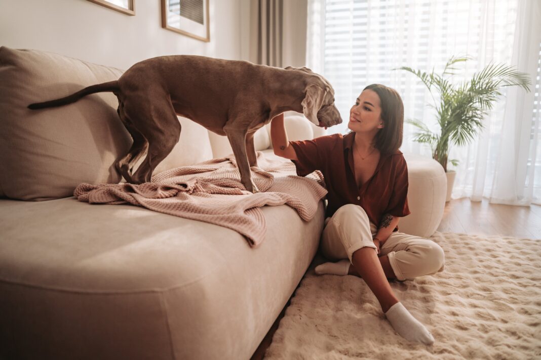 Persona con perro revisando un contrato de alquiler en un departamento.
