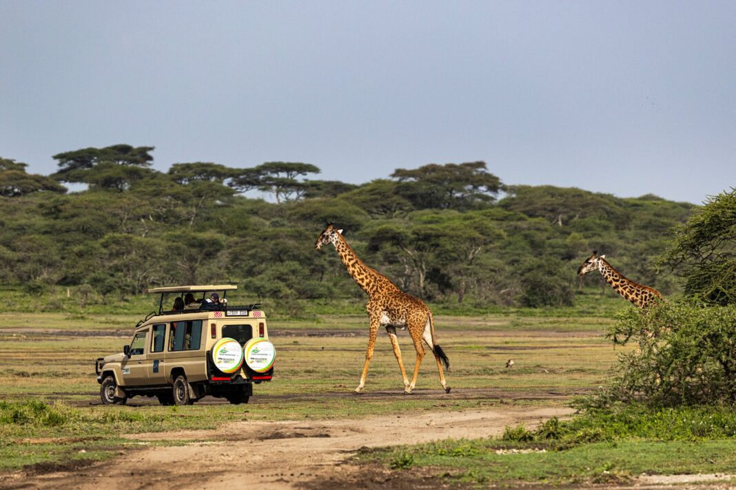 Grupo de viajeros en vehículo de safari observando la fauna en las planicies del Serengeti, Tanzania