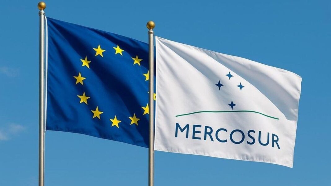 Huevos en una granja argentina para exportación a la Unión Europea