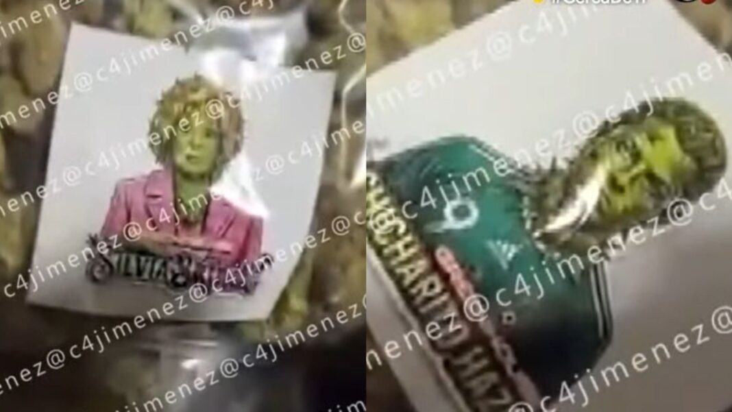 Paquetes de marihuana decomisados con estampas de Silvia Pinal y Javier Hernández en la Condesa