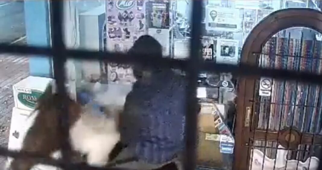 Captura de video de seguridad de un kiosco en Miramar durante el asalto a caballo