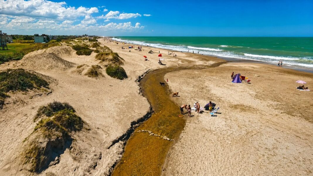Vista de la costa de La Caleta, con playa amplia y bosque al fondo