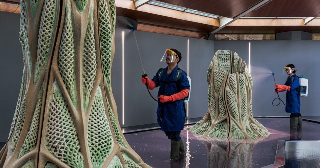 Estructuras impresas en 3D con cianobacterias vivas en el pabellón de la Bienal de Arquitectura de Venecia