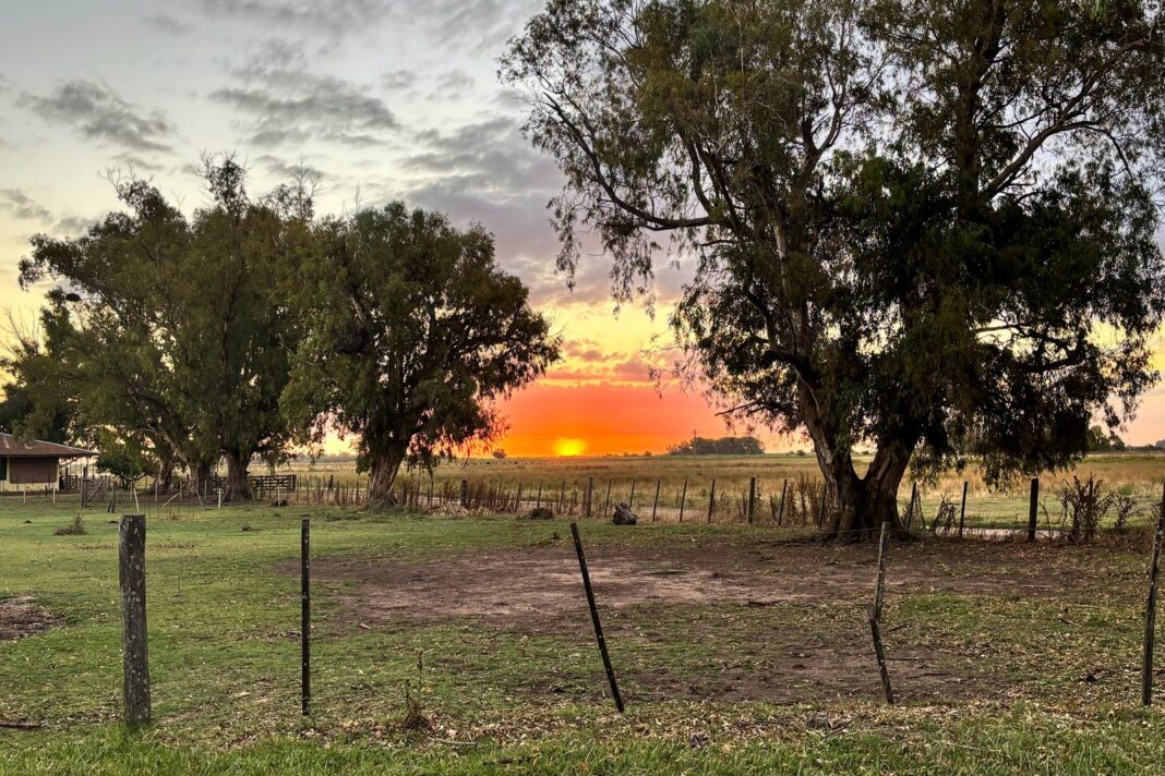Réplica del Fortín San Lorenzo en Navarro, con mangrullo y construcciones de madera
