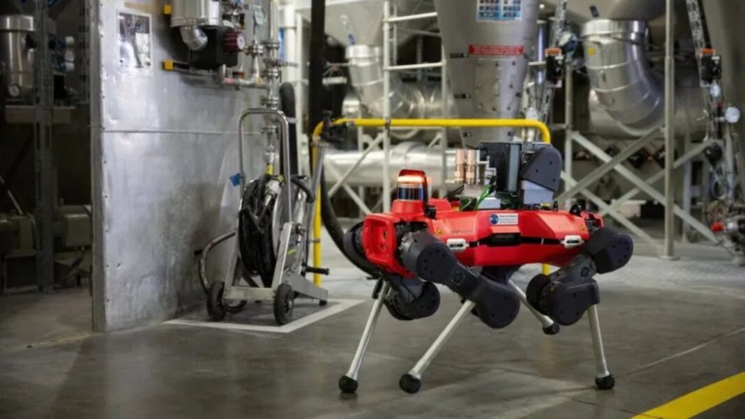Robot cuadrúpedo ANYmal D en instalaciones industriales de Northern Lights en Noruega