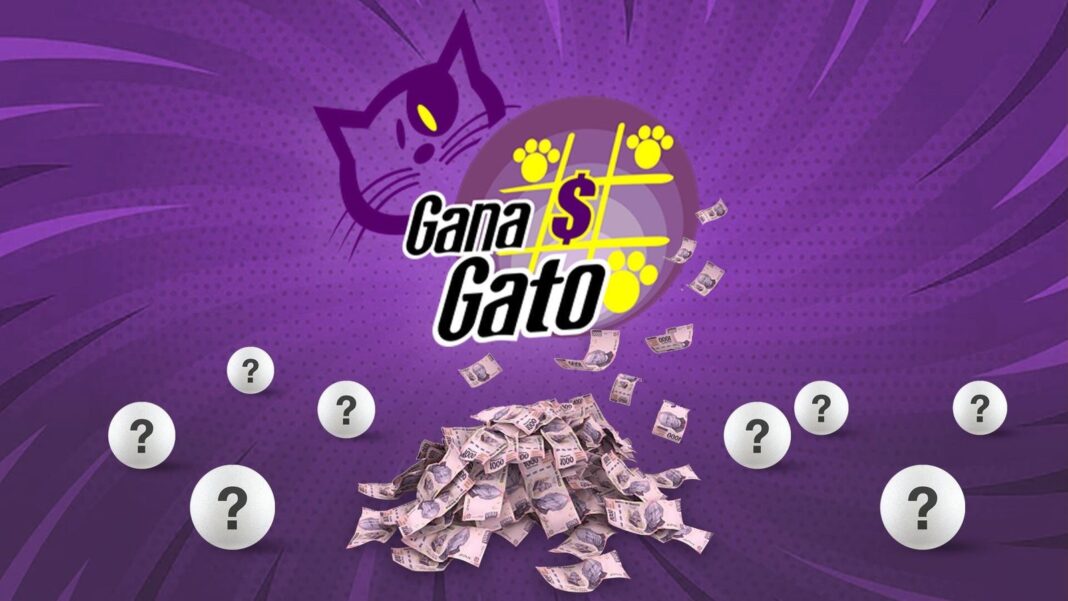 Boleto del sorteo Gana Gato con números impresos