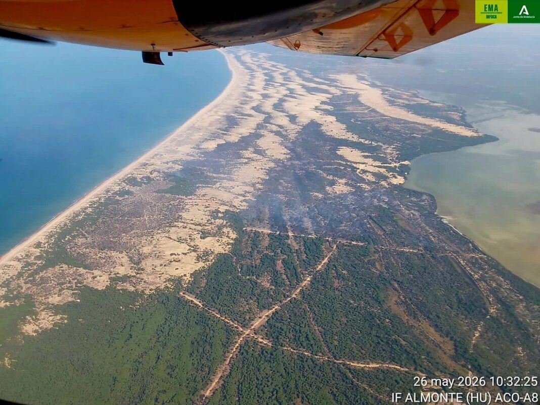 Vista del Parque Nacional de Doñana afectado por incendios